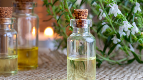 satureja montana propiedades usos plantas medicinales