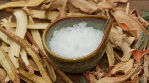 usos alcanfor propiedades beneficios alcanforero árbol del alcanfor cinnamomum camphora