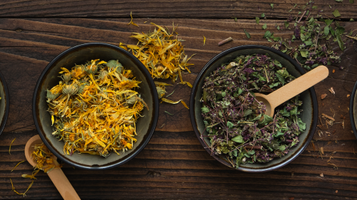 secar plantas, secado plantas